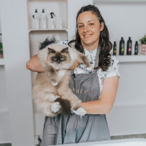 Grooming kotów długowłosych z Patrycją Chowaniec